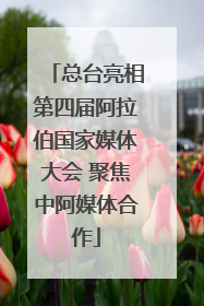总台亮相第四届阿拉伯国家媒体大会 聚焦中阿媒体合作