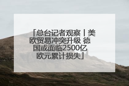 总台记者观察丨美欧贸易冲突升级 德国或面临2500亿欧元累计损失