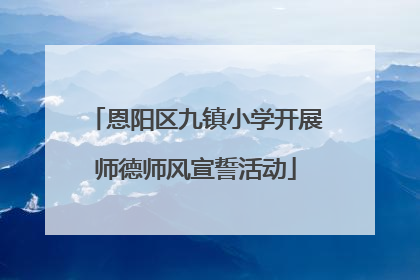 恩阳区九镇小学开展师德师风宣誓活动