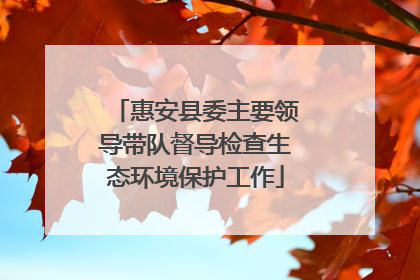 惠安县委主要领导带队督导检查生态环境保护工作
