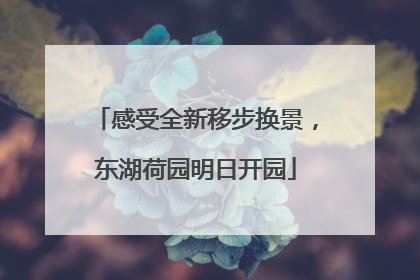 感受全新移步换景，东湖荷园明日开园