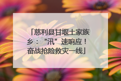 慈利县甘堰土家族乡：“汛”速响应！奋战抢险救灾一线