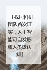 我国科研团队首次证实，人工智能可自发形成人类级认知