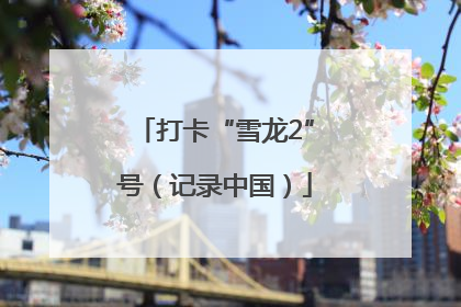 打卡“雪龙2”号（记录中国）