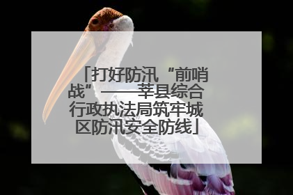 打好防汛“前哨战”——莘县综合行政执法局筑牢城区防汛安全防线
