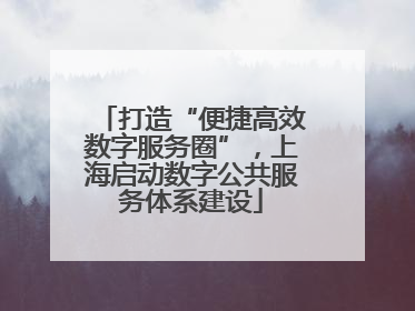 打造“便捷高效数字服务圈”，上海启动数字公共服务体系建设