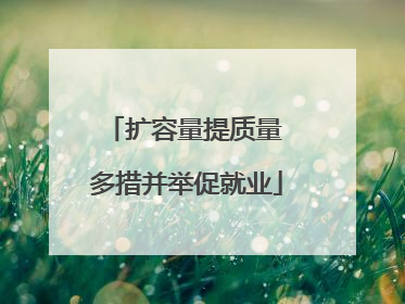 扩容量提质量 多措并举促就业