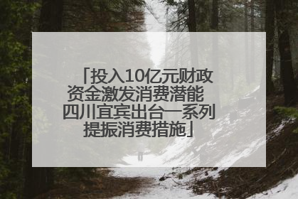 投入10亿元财政资金激发消费潜能 四川宜宾出台一系列提振消费措施