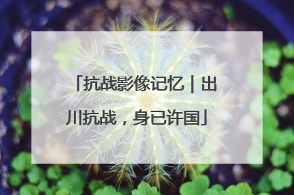 抗战影像记忆｜出川抗战，身已许国