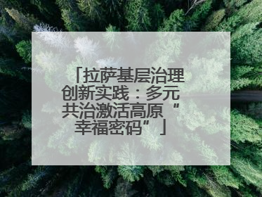 拉萨基层治理创新实践：多元共治激活高原“幸福密码”