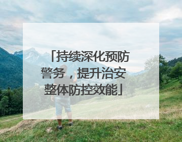 持续深化预防警务，提升治安整体防控效能