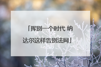 挥别一个时代 纳达尔这样告别法网