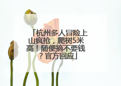 杭州多人冒险上山疯抢，爬树5米高！随便摘不要钱？官方回应