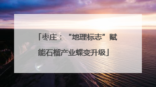 枣庄：“地理标志”赋能石榴产业蝶变升级
