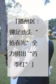 播州区：铆足劲头“抢春光”全力拼出“首季红”