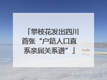 攀枝花发出四川首张“户籍人口直系亲属关系谱”