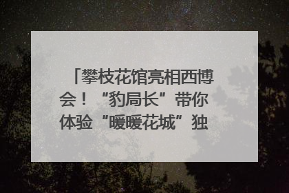 攀枝花馆亮相西博会！“豹局长”带你体验“暖暖花城”独特魅力｜西博视界