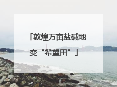 敦煌万亩盐碱地变“希望田”
