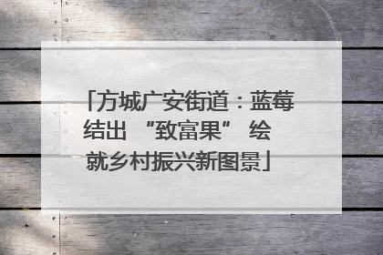 方城广安街道：蓝莓结出 “致富果” 绘就乡村振兴新图景