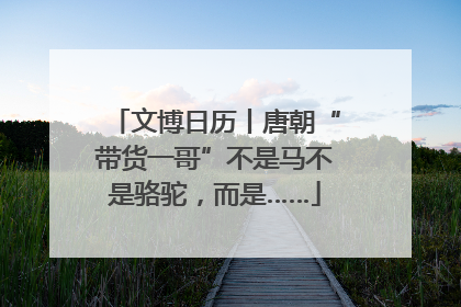 文博日历丨唐朝“带货一哥”不是马不是骆驼，而是……