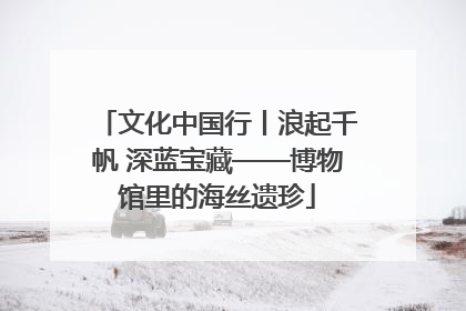 文化中国行丨浪起千帆 深蓝宝藏——博物馆里的海丝遗珍