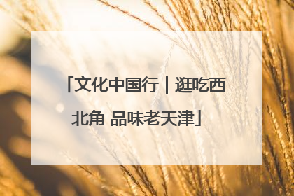 文化中国行｜逛吃西北角 品味老天津