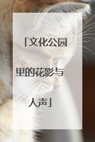 文化公园里的花影与人声