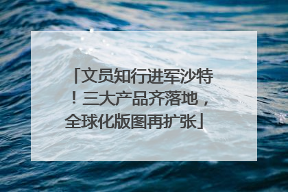 文员知行进军沙特！三大产品齐落地，全球化版图再扩张