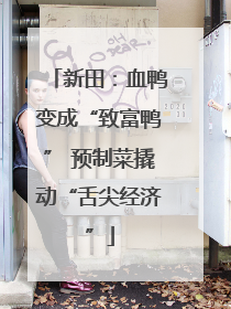 新田：血鸭变成“致富鸭” 预制菜撬动“舌尖经济”