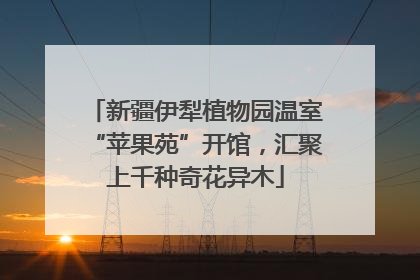 新疆伊犁植物园温室“苹果苑”开馆，汇聚上千种奇花异木