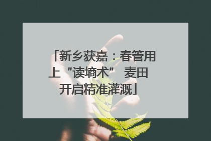 新乡获嘉：春管用上“读墒术” 麦田开启精准灌溉