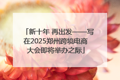 新十年 再出发——写在2025郑州跨境电商大会即将举办之际