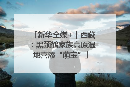 新华全媒+｜西藏：黑颈鹤家族高原湿地喜添“萌宝”
