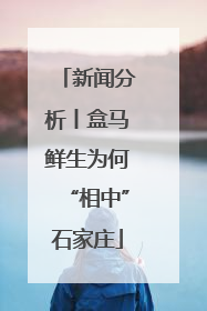 新闻分析丨盒马鲜生为何“相中”石家庄