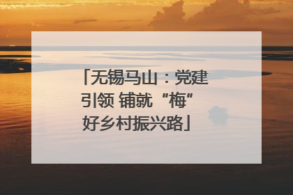 无锡马山：党建引领 铺就“梅”好乡村振兴路