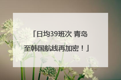 日均39班次 青岛至韩国航线再加密！