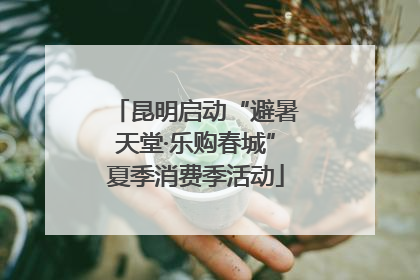 昆明启动“避暑天堂·乐购春城”夏季消费季活动