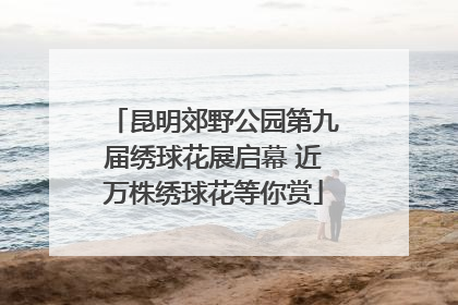 昆明郊野公园第九届绣球花展启幕 近万株绣球花等你赏