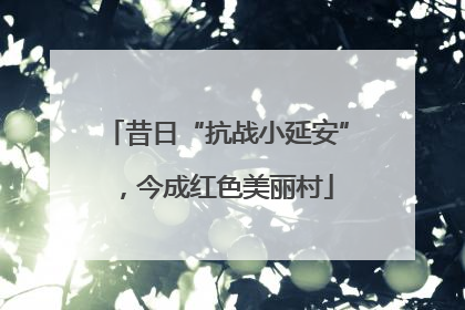 昔日“抗战小延安”，今成红色美丽村
