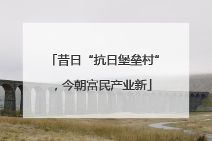 昔日“抗日堡垒村”，今朝富民产业新