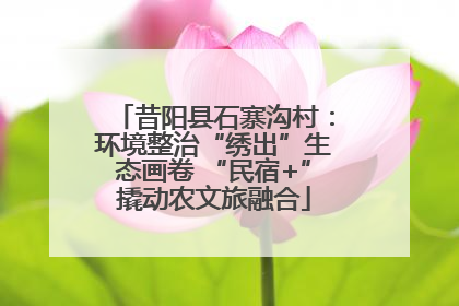 昔阳县石寨沟村：环境整治“绣出”生态画卷 “民宿+”撬动农文旅融合