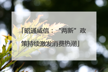昭通威信：“两新”政策持续激发消费热潮