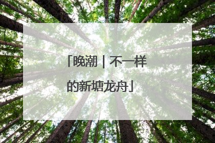 晚潮｜不一样的新塘龙舟