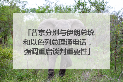 普京分别与伊朗总统和以色列总理通电话，强调重启谈判重要性