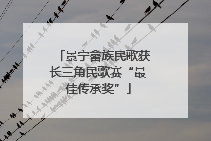 景宁畲族民歌获长三角民歌赛“最佳传承奖”