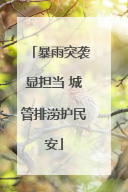 暴雨突袭显担当 城管排涝护民安