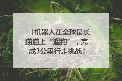 机器人在全球最长猫道上“遛狗”，完成3公里行走挑战