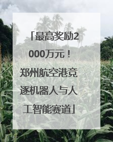 最高奖励2000万元！郑州航空港竞逐机器人与人工智能赛道