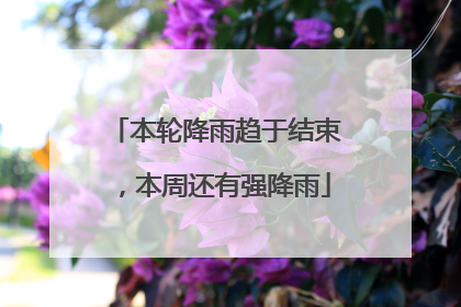 本轮降雨趋于结束，本周还有强降雨