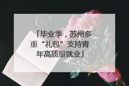 毕业季，苏州多重“礼包”支持青年高质量就业